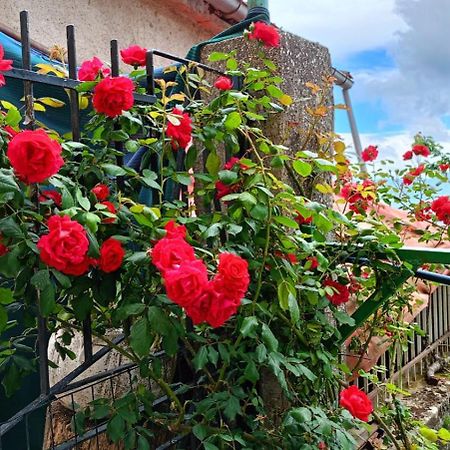 Locazione Turistica" La Rupe" Vila Marsicovetere Exterior foto