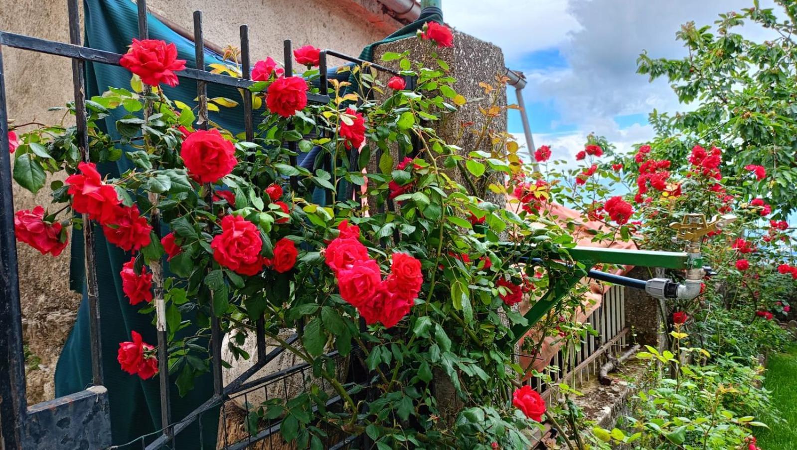 Locazione Turistica" La Rupe" Vila Marsicovetere Exterior foto